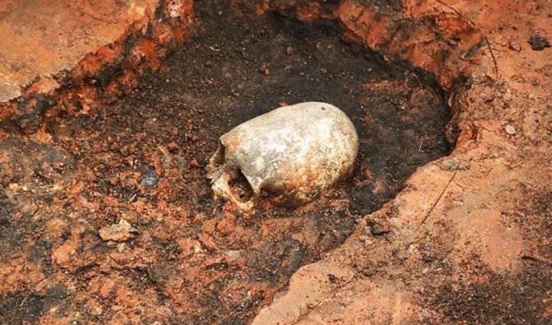 Xương sọ thon dài được khai quật tại Arkaim, Russia (HNGN)
