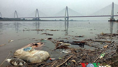 Sông Hồng-Sông Hồng, đoạn chảy qua nội thành Hà Nội...Rác thải, xác động vật chết bị vứt đầy trên mặt sông. Ảnh chụp tại chân cầu Nhật Tân (VOV).