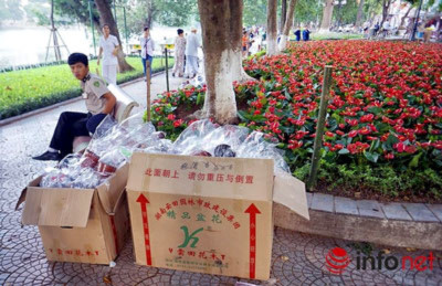 Những thùng đựng hoa toàn có nhãn hiệu Trung quốc