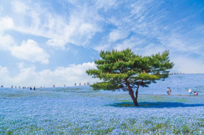100 bức ảnh "đẹp khó tin" chưa từng qua photoshop
