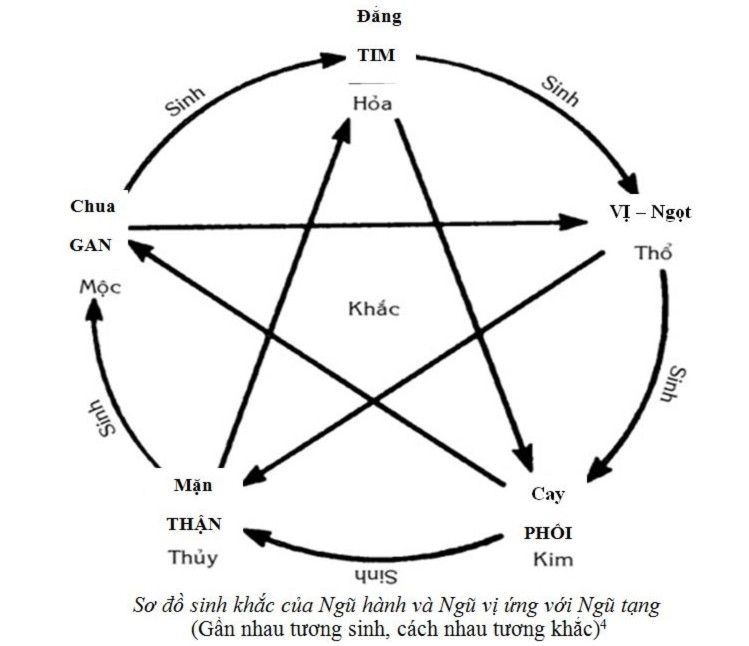 tieu vu tru, goc benh, cơ thể người, Bài chọn lọc, 