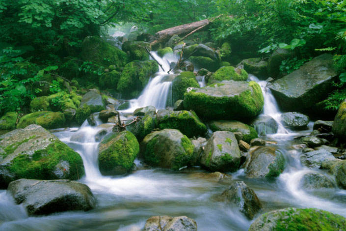 Vùng núi Shirakami còn có nhiều thác nước đẹp