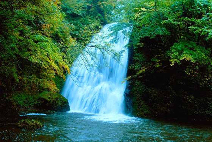 Không chỉ sở hữu thảm thực vật phong phú và hệ thống thác nước đa dạng, Shirakami còn có cảnh sắc tuyệt đẹp.