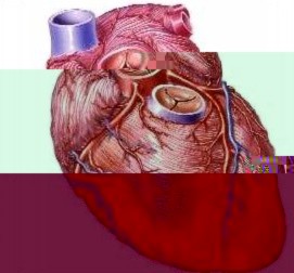 Những phát minh tình cờ đến khó tin nhưng vĩ đại