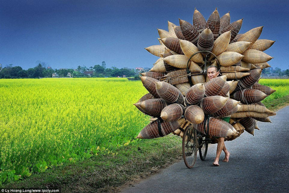 Tác giả Lý Hoàng Long với tác phẩm chụp một lão nông đang dắt xe chở đó tre được đánh giá cao ở cuộc thi Nhiếp ảnh gia du lịch của năm 2015 (TPOTY).