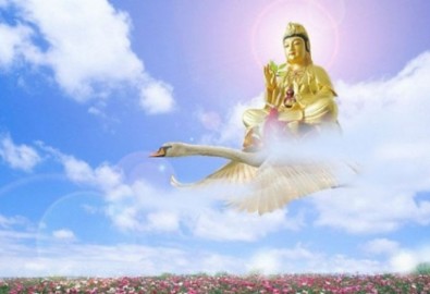 Bồ Tát