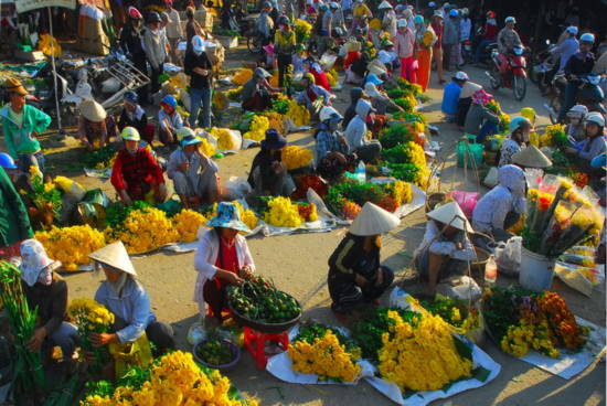 mọi miền đất nước, hoa xuân, Bài chọn lọc, 