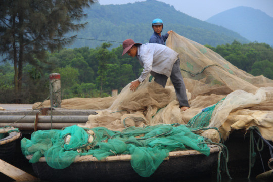 Ngư dân xã Lộc Vĩnh treo lưới sau khi phát hiện cá mặt đáy trôi dạt vào