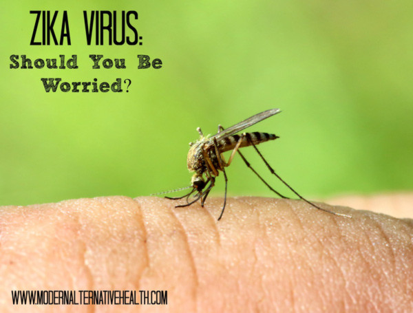 Tốc độ lây lan của virus Zika gây teo não đang đáng sợ đến mức nào? - Ảnh 1.