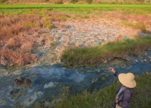 Chính quyền điên cuồng vơ vét tài nguyên gây ô nhiễm môi trường, màu xanh cây cối đi về đâu? (Ảnh: Internet).