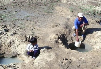 Hai cha con đang vét nước trên cánh đồng Bình Quý (Ninh Phước