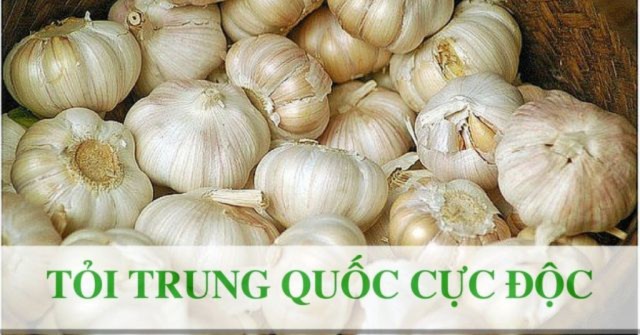 Tỏi Trung Quốc cực độc