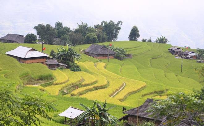 Mùa vàng nơi tận cùng cực Bắc