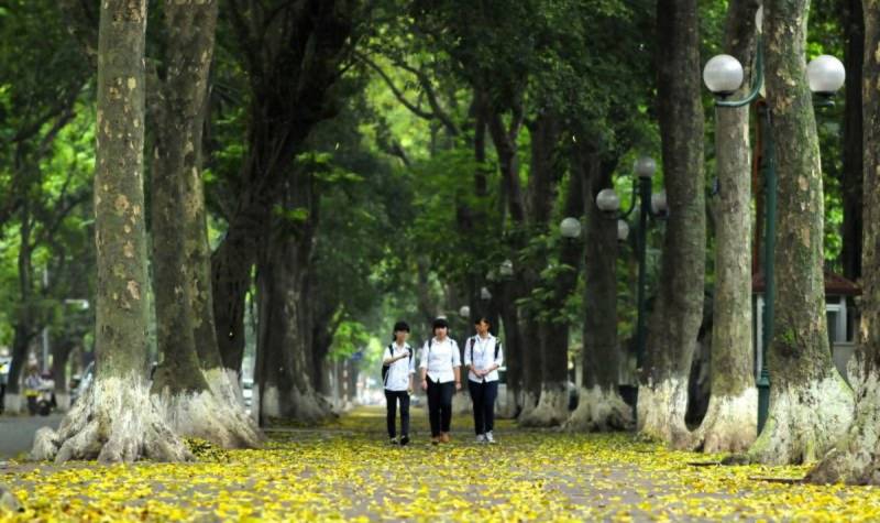 Vẻ đẹp mùa thu Hà Nội, 