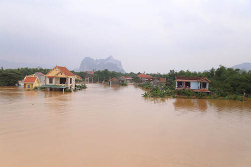 nhieu-nguoi-quang-binh-an-com-trang-mi-tom-song-tren-mai-nha