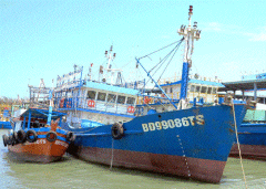 Những chiếc tàu vỏ thép mới đóng của ngư dân Bình Định bị hư hỏng, phải "nằm bờ".