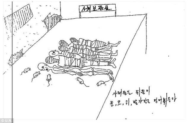 Xác tù nhân chính trị. Câu mô tả tiếng Hàn: "Chuột ăn mắt, mũi, tai và ngón chân của xác người".