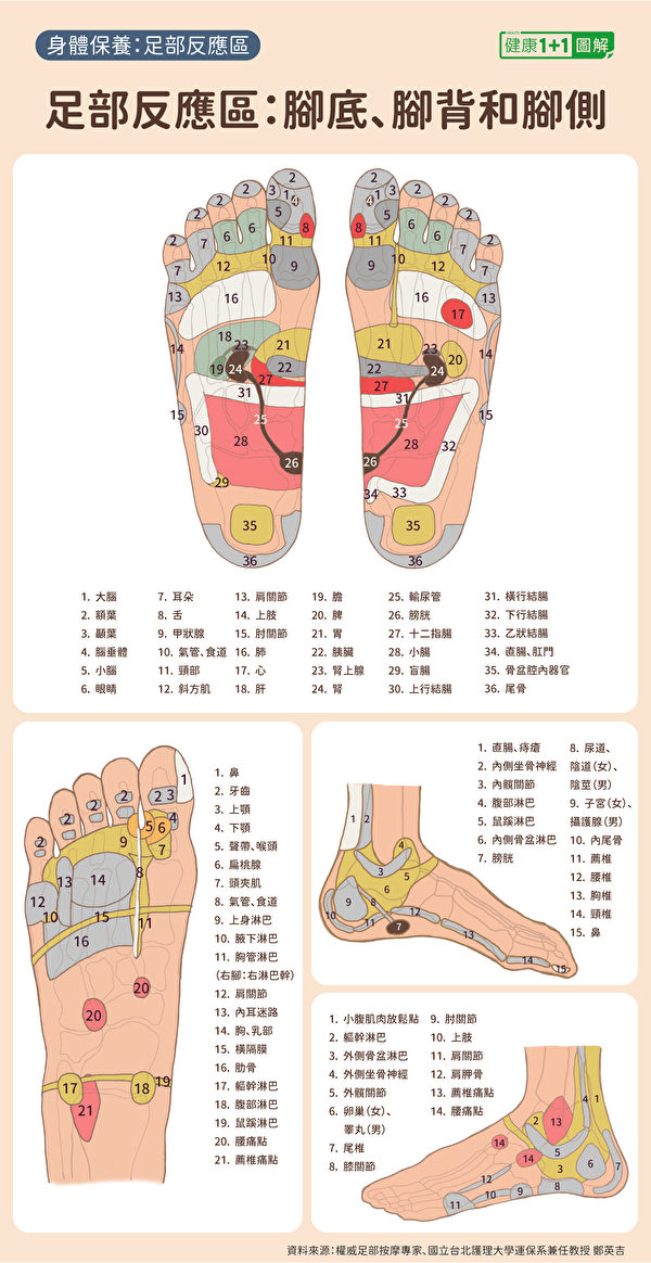 Phương pháp trị liệu massage chân: Các vị trên trên chân đối ứng với các bộ phận khác nhau trên cơ thể. (Ảnh Epochtimes)
