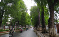 Đường Hàng Me trong nội ô thành phố Trà Vinh. (Ảnh: VOV Giao thông)

Bạn đang sao chép nội dung của Trí Thức VN. Nếu là cá nhân sử dụng, vui lòng ghi rõ nguồn trithucvn.co. Nếu là website, kênh truyền thông, vui lòng chỉ sử dụng nội dung khi có sự  cho phép của Trí Thức VN.