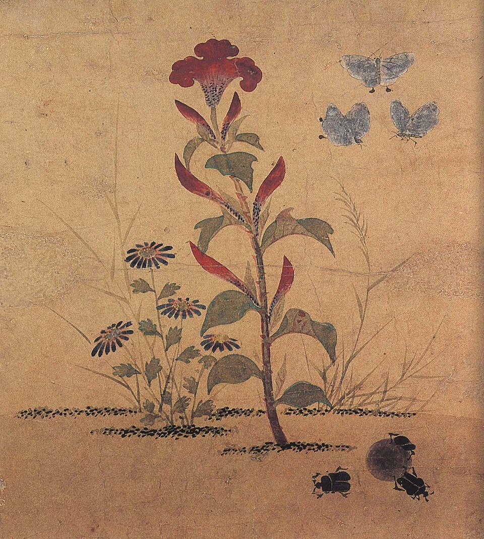 Thân Sư Nhâm Đường